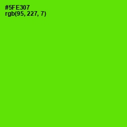 #5FE307 - Bright Green Color Image