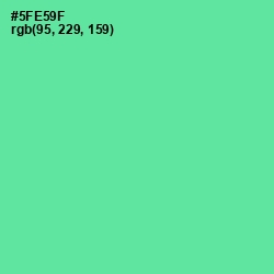 #5FE59F - De York Color Image