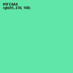 #5FE6A8 - De York Color Image
