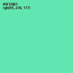 #5FE6B1 - De York Color Image