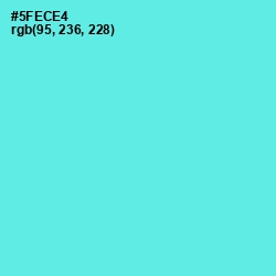 #5FECE4 - Turquoise Blue Color Image