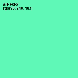 #5FF8B7 - De York Color Image