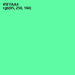 #5FFAA4 - De York Color Image