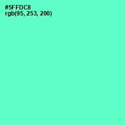 #5FFDC8 - Aquamarine Color Image