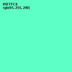 #5FFFC8 - Aquamarine Color Image