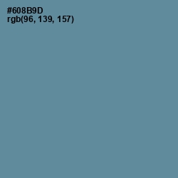 #608B9D - Hoki Color Image