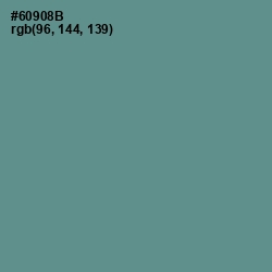 #60908B - Patina Color Image