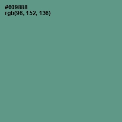 #609888 - Patina Color Image