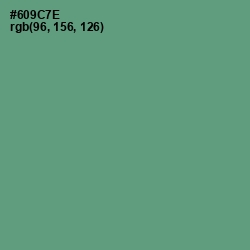 #609C7E - Viridian Green Color Image