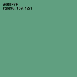 #609F7F - Laurel Color Image