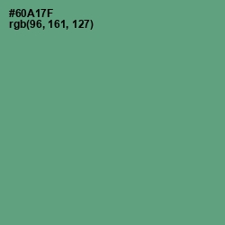 #60A17F - Fern Color Image