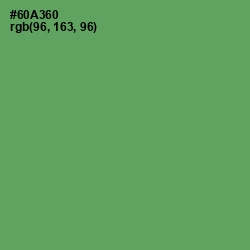 #60A360 - Fern Color Image