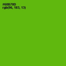 #60B70D - Christi Color Image