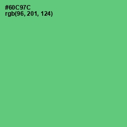 #60C97C - Pastel Green Color Image