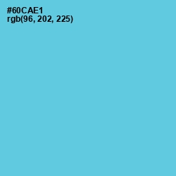 #60CAE1 - Turquoise Blue Color Image