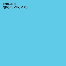 #60CAE9 - Turquoise Blue Color Image