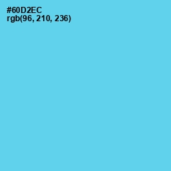 #60D2EC - Turquoise Blue Color Image
