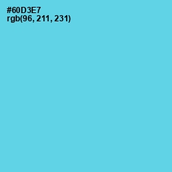 #60D3E7 - Turquoise Blue Color Image