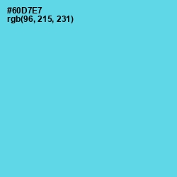 #60D7E7 - Turquoise Blue Color Image