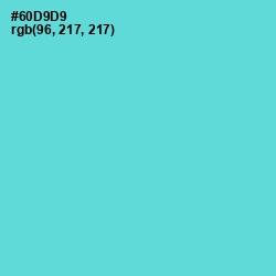 #60D9D9 - Viking Color Image