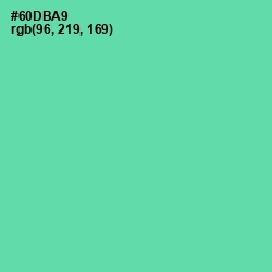 #60DBA9 - De York Color Image