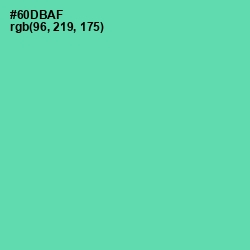 #60DBAF - De York Color Image