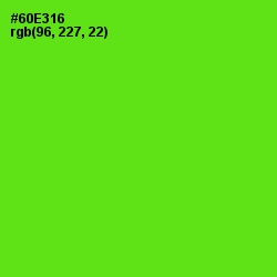 #60E316 - Bright Green Color Image