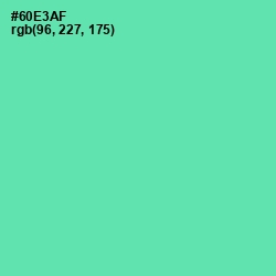 #60E3AF - De York Color Image