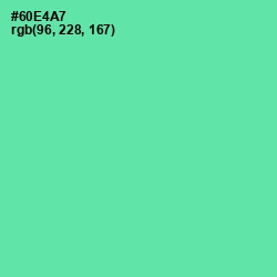 #60E4A7 - De York Color Image