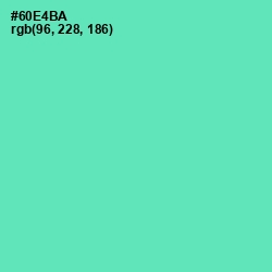 #60E4BA - De York Color Image