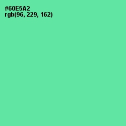 #60E5A2 - De York Color Image