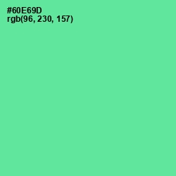 #60E69D - De York Color Image