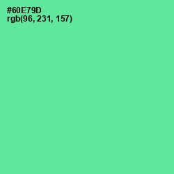 #60E79D - De York Color Image