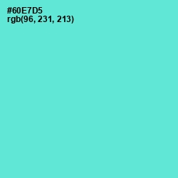 #60E7D5 - Aquamarine Color Image