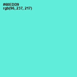#60EDD9 - Aquamarine Color Image