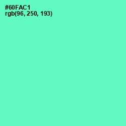 #60FAC1 - Aquamarine Color Image