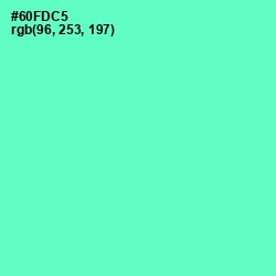 #60FDC5 - Aquamarine Color Image