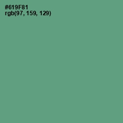 #619F81 - Patina Color Image