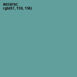 #619F9C - Juniper Color Image