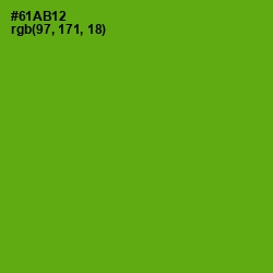 #61AB12 - Christi Color Image