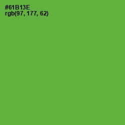 #61B13E - Apple Color Image