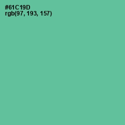 #61C19D - De York Color Image
