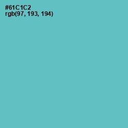 #61C1C2 - Downy Color Image