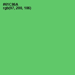 #61C86A - Mantis Color Image