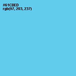 #61CBED - Turquoise Blue Color Image