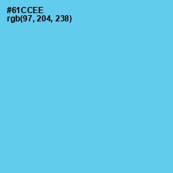 #61CCEE - Turquoise Blue Color Image