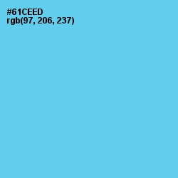 #61CEED - Turquoise Blue Color Image
