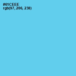 #61CEEE - Turquoise Blue Color Image