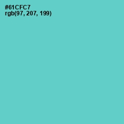 #61CFC7 - Downy Color Image