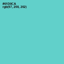 #61D0CA - Downy Color Image